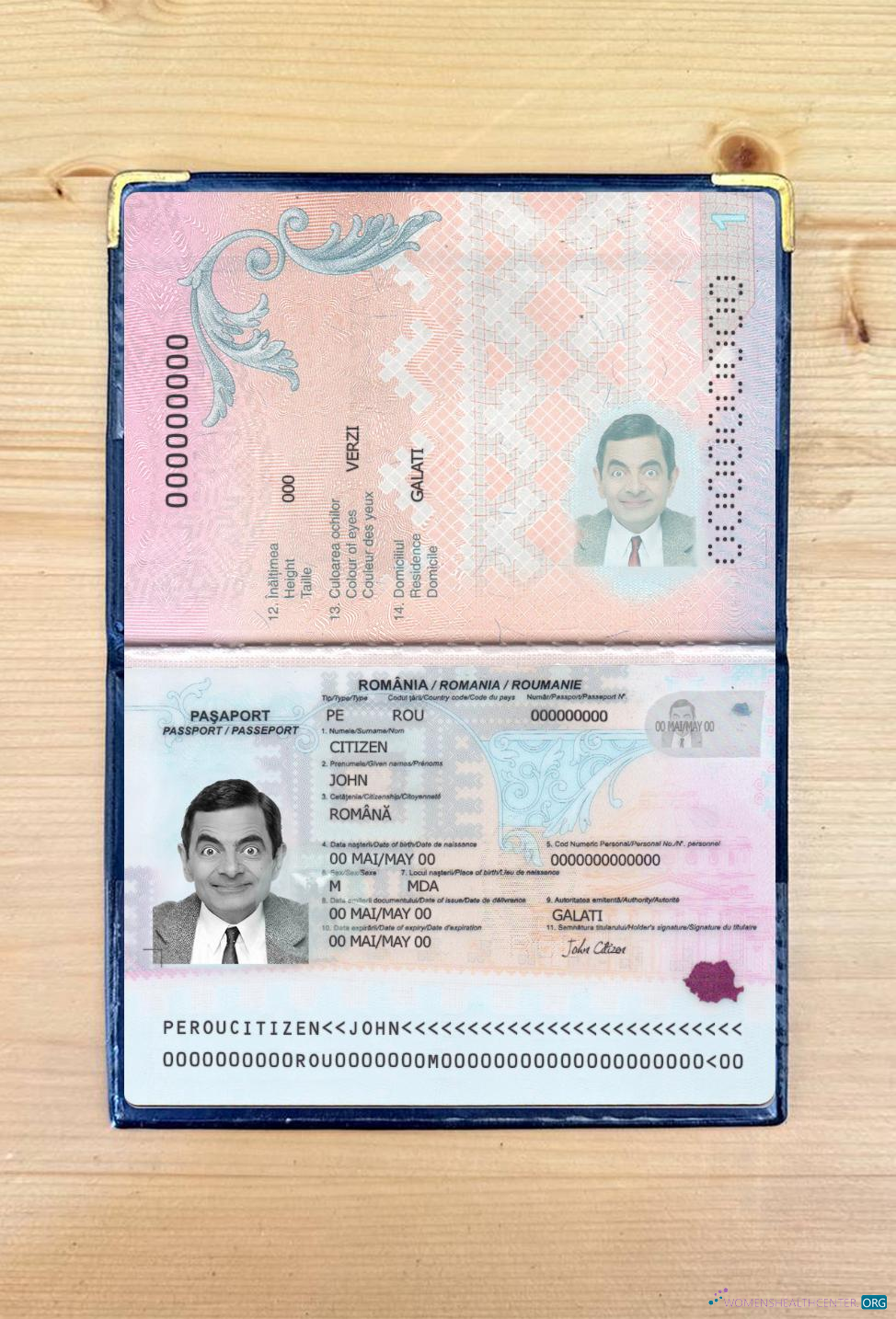 Download Romania passport 2021 present photolook Photoshop template